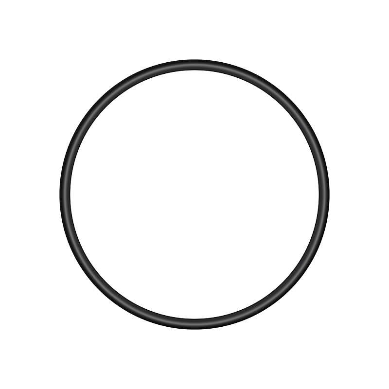 O-Ring 25x2