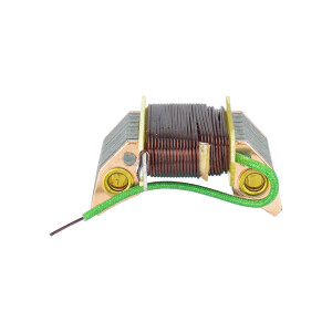 Lichtspule (Pol) Pioneer mit Kabel für Stator 30W - TW
