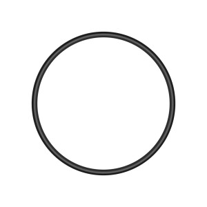 O-Ring 25x2